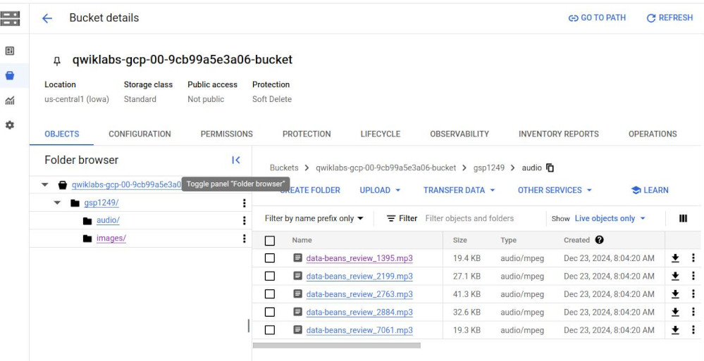review audio, images in cloud storage